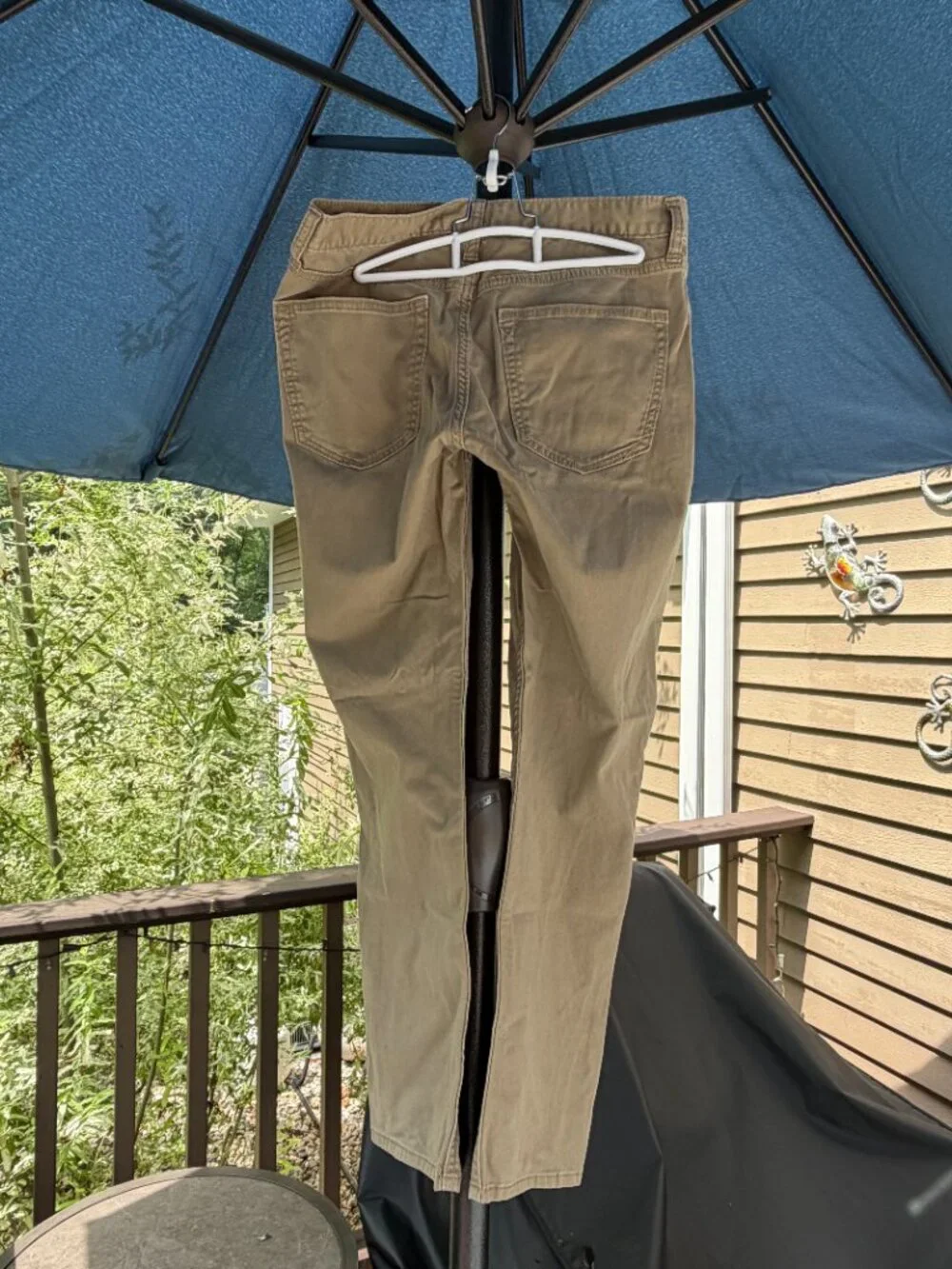 Banana Republic Pants